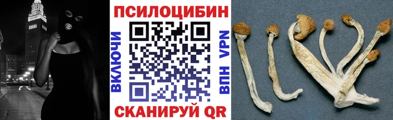 Псилоцибиновые грибы мицелий  Южа 